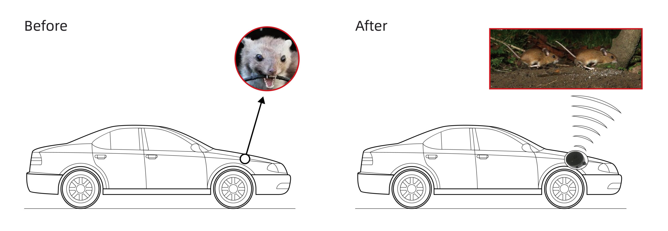 auto ultrasonic rodent repellent car marten repeller