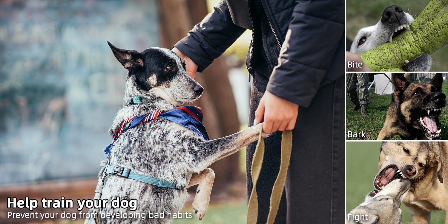 portable battery dog trainer ultrasonic dog repeller