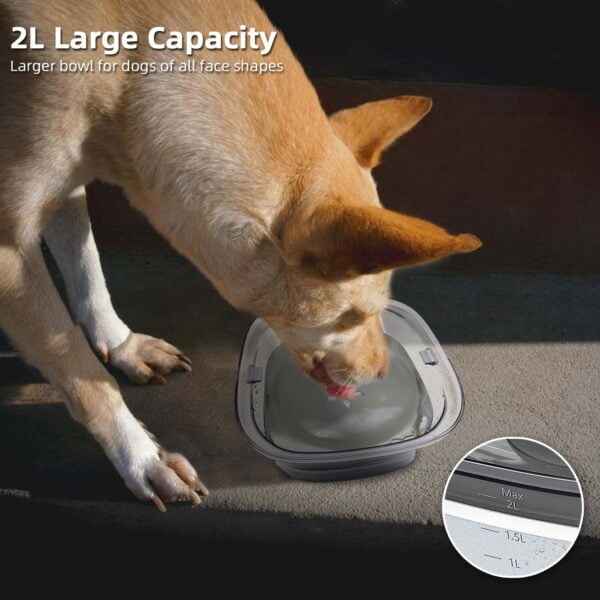 2l pet feeder spill proof dog water bowl